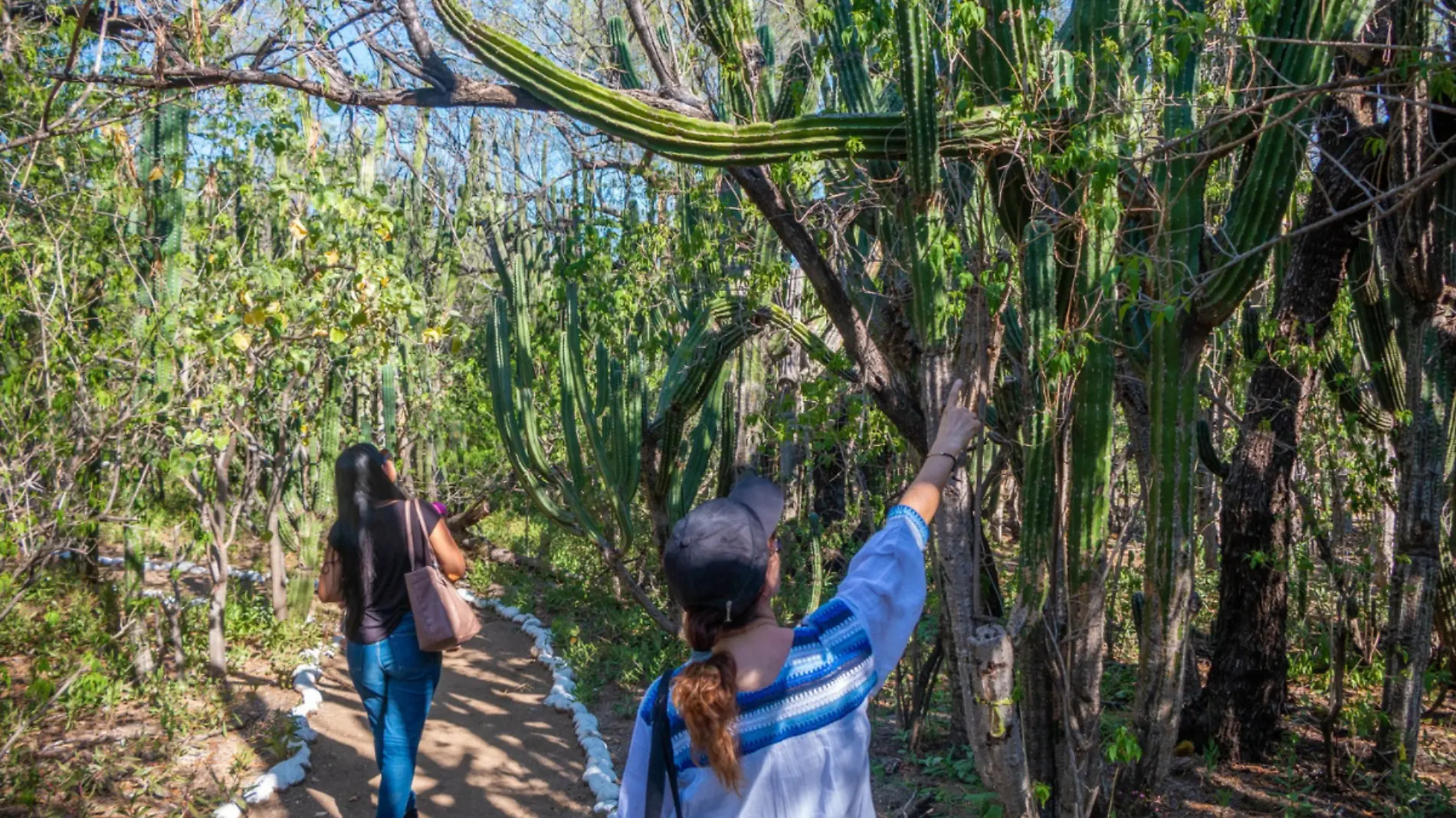 cuando se volvio anp el santuario de cactus